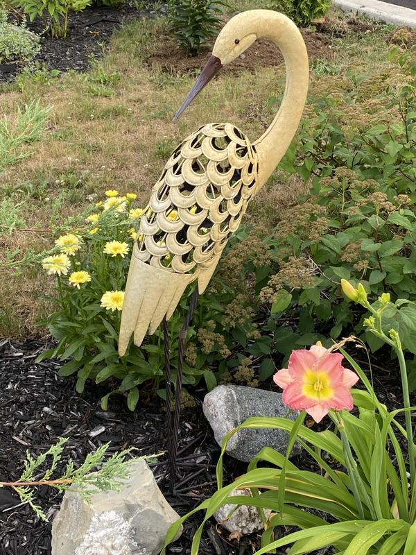 Photo - commentaire&nbsp;1.