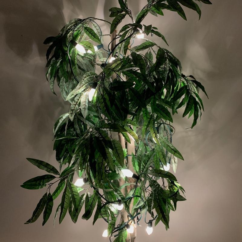 Photo - commentaire&nbsp;3.