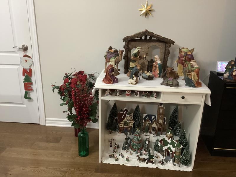 Picture of my bright star. Looks beautiful