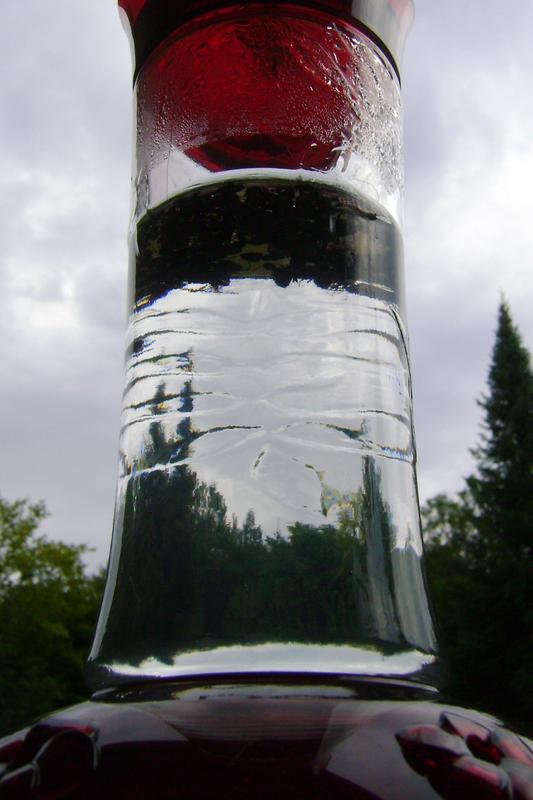 This shows a thick layer of drowned ants floating on top of the nectar after hanging for less than two days.