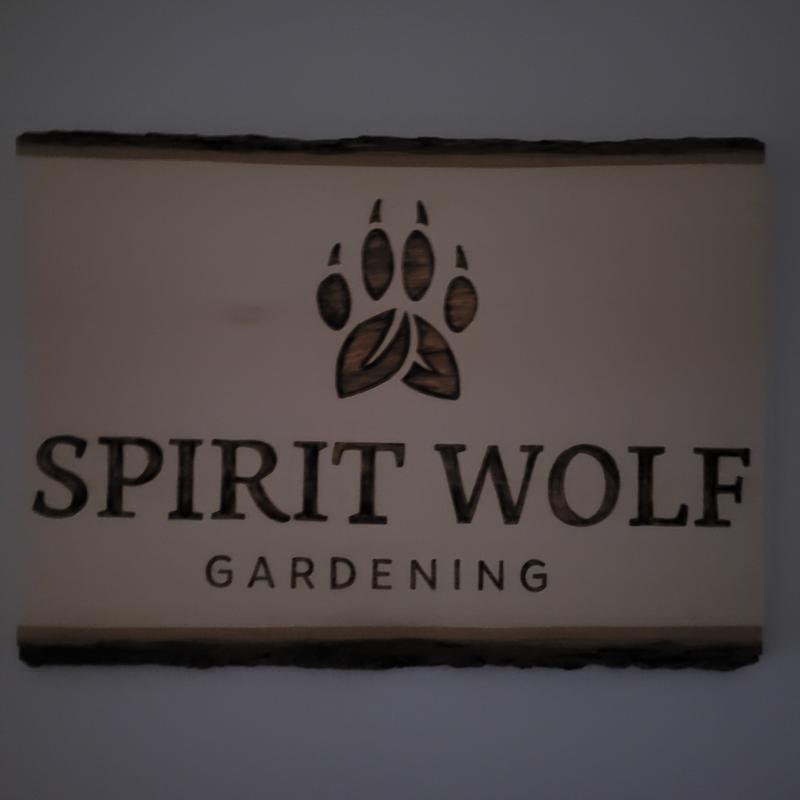 Photo - commentaire 1.