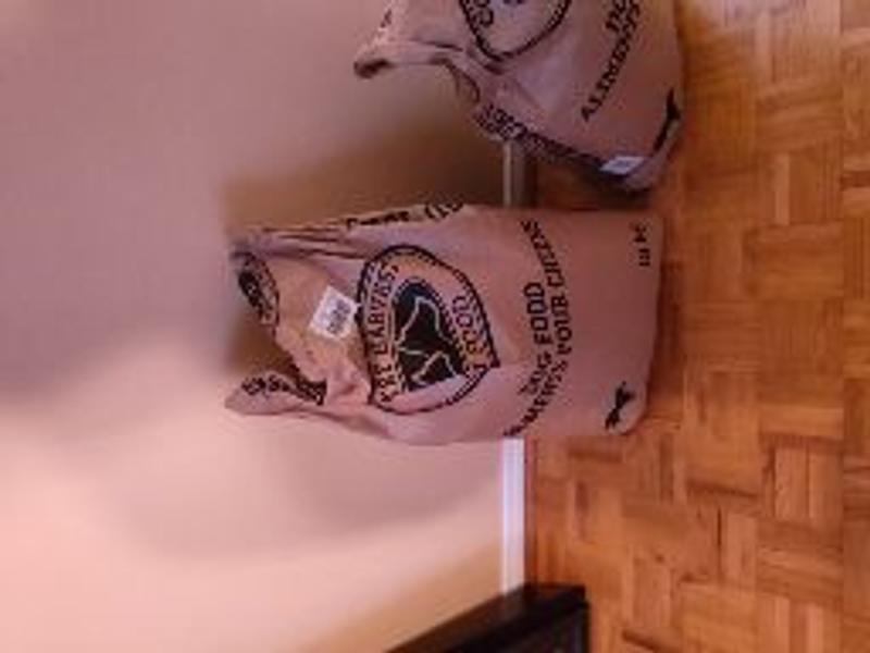 Photo - commentaire 2.