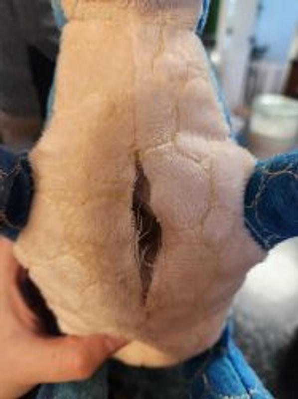 Photo - commentaire&nbsp;1.