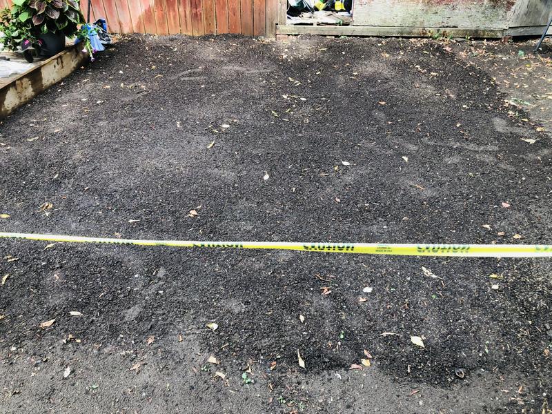 Photo - commentaire 1.