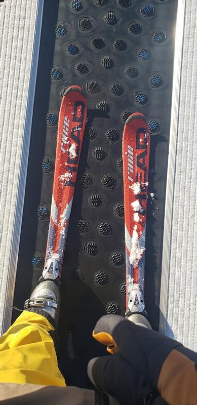 Literally only photo I have of them on the mountain