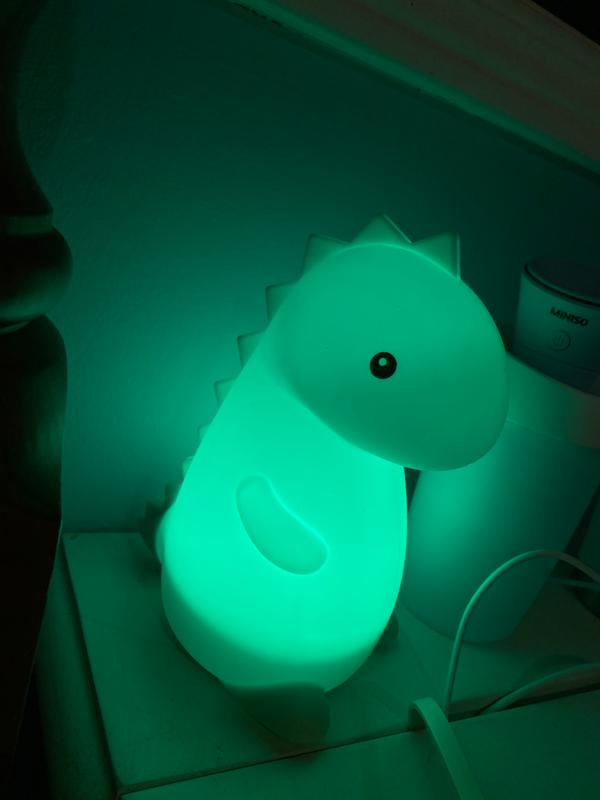 Photo - commentaire 5.