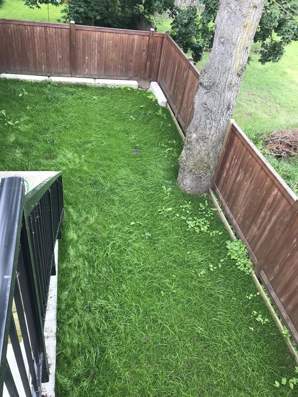 Three weeks after my initial spread