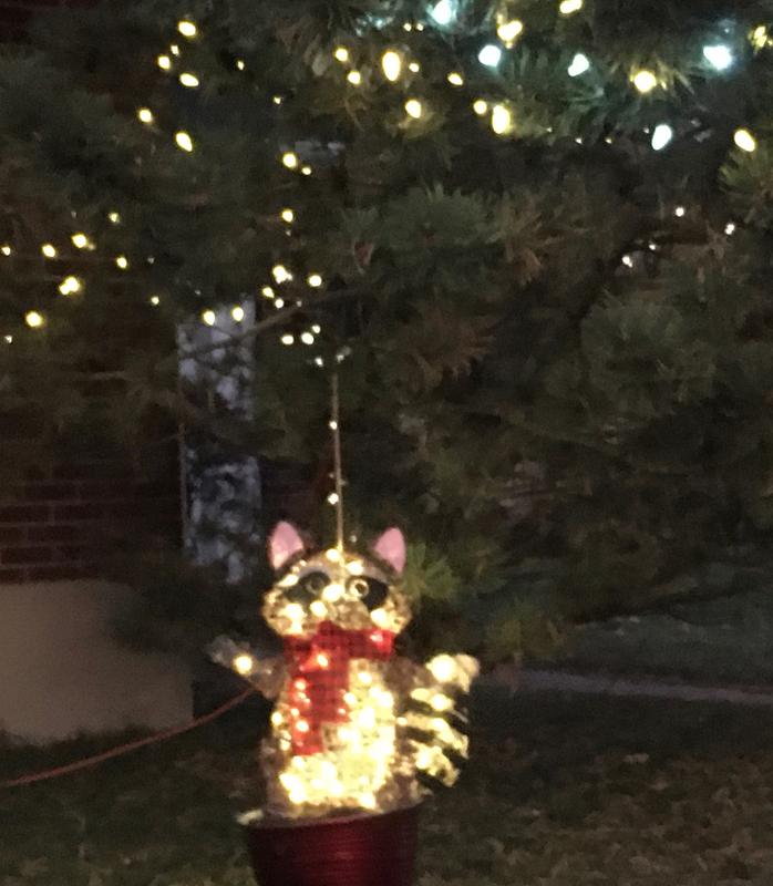 Photo - commentaire&nbsp;7.