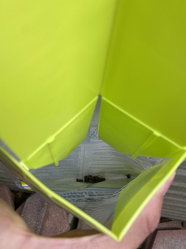 After one week end of June