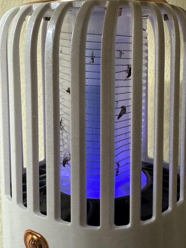 Photo - commentaire 2.