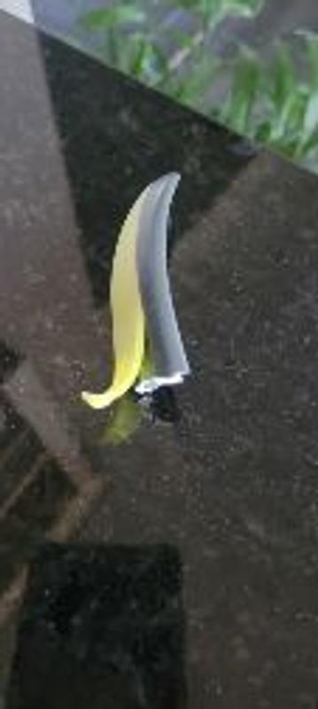 Photo - commentaire 1.