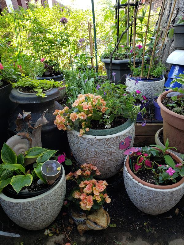 Photo - commentaire 2.