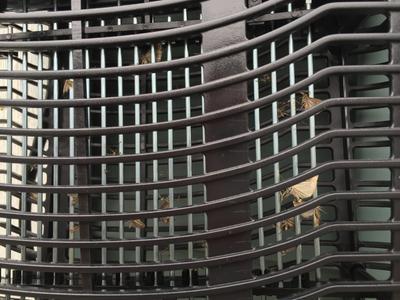 Bugs not "vaporized" on electrodes