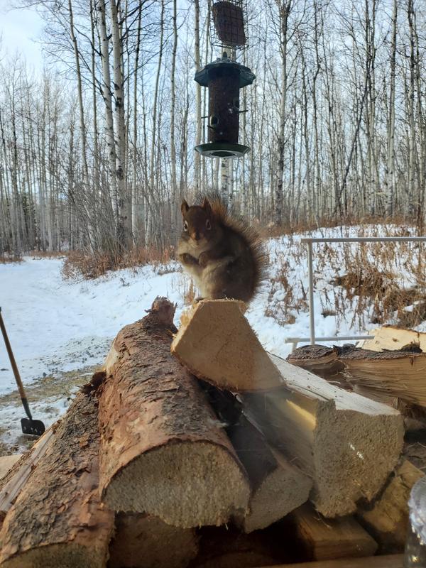 Photo - commentaire 2.