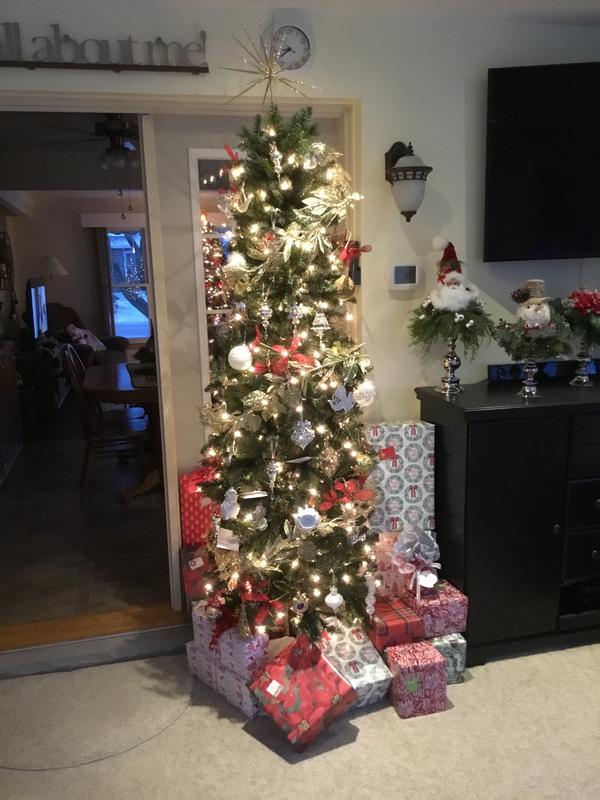 Full view of the tree.