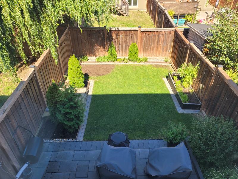 Bare patch in the left corner