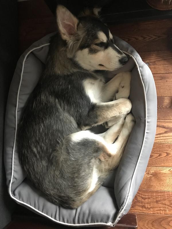 Photo - commentaire&nbsp;1.