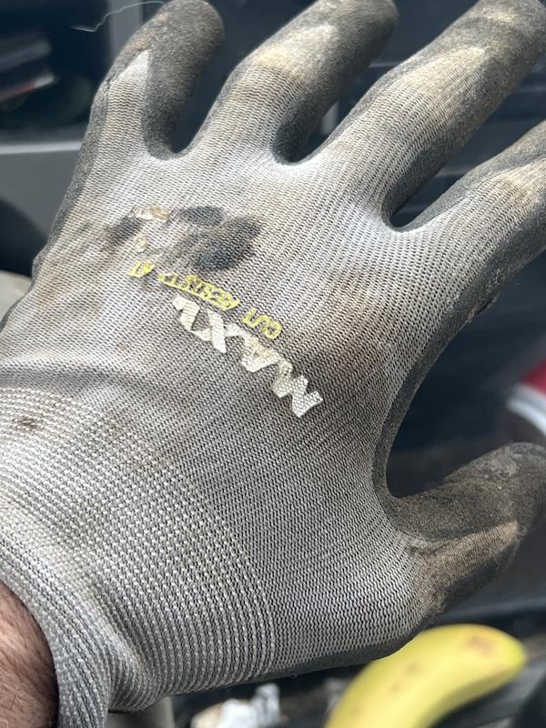 bon gants