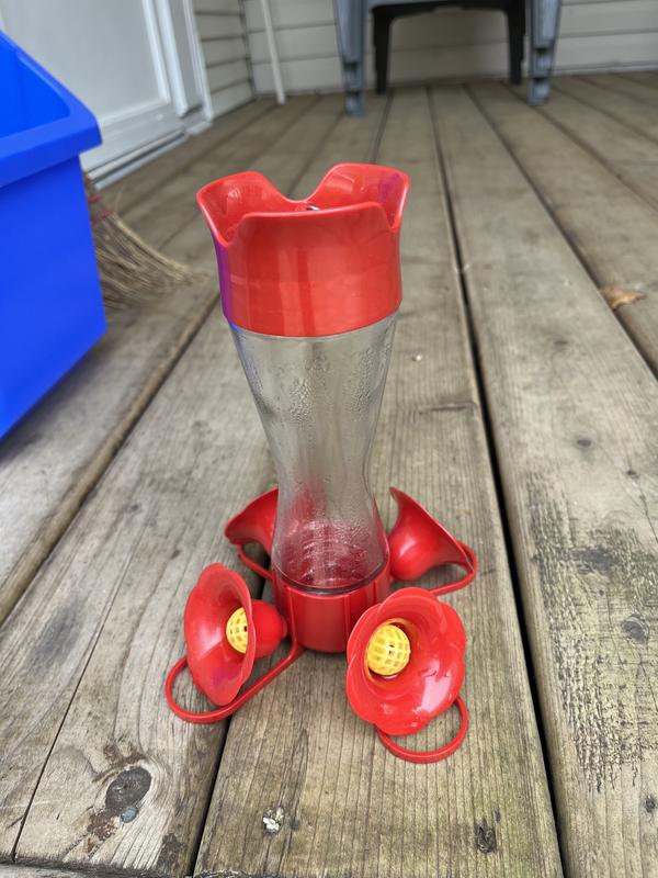 Photo - commentaire 1.