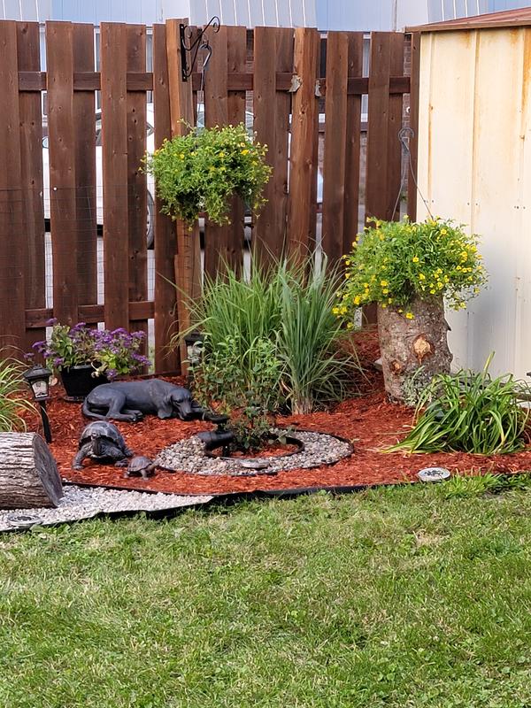 Photo - commentaire 6.