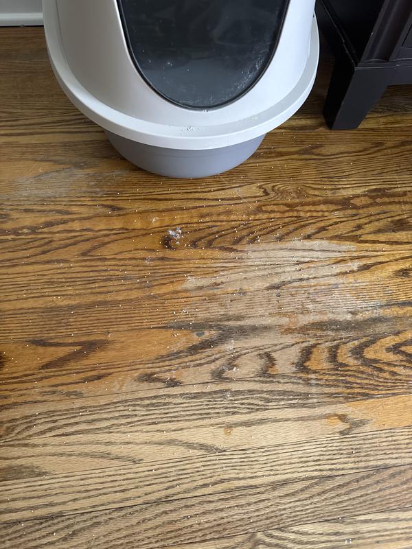 Photo - commentaire&nbsp;5.