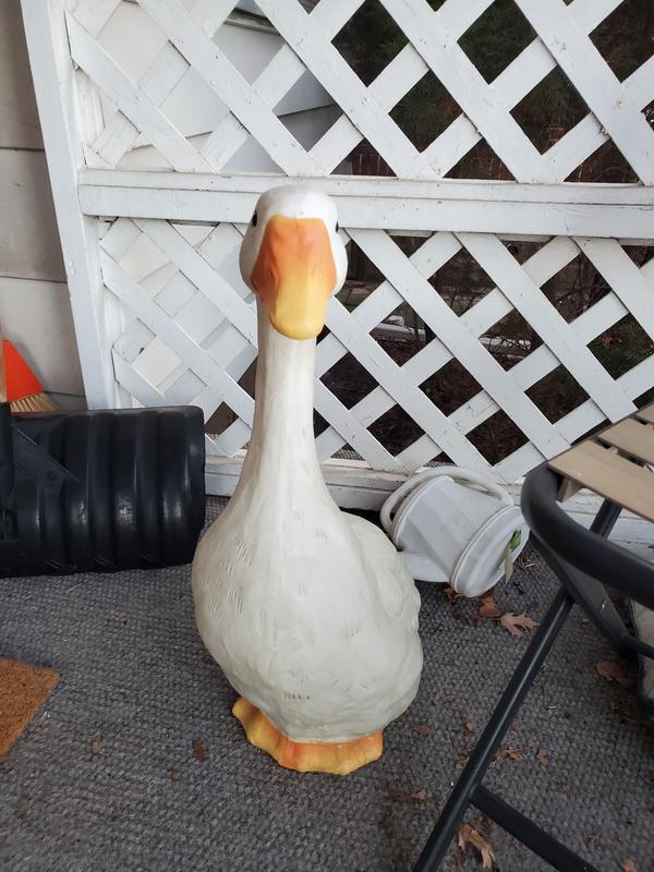 Photo - commentaire&nbsp;6.