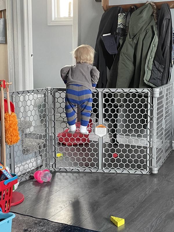 “I love my new climber”