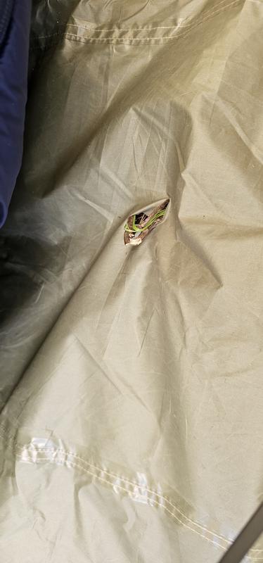 Photo - commentaire&nbsp;7.