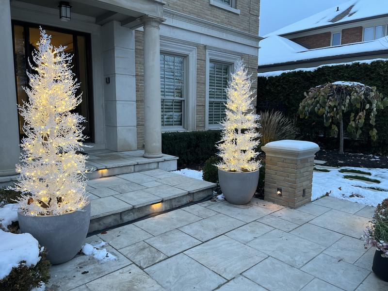 Stunning Addition for 2022!