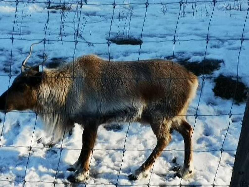 Photo - commentaire 1.