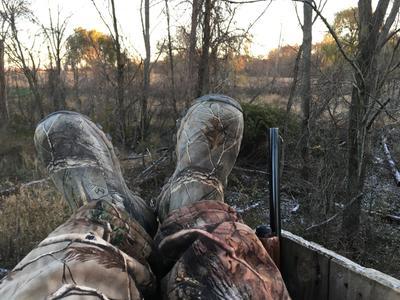 In the tree stand