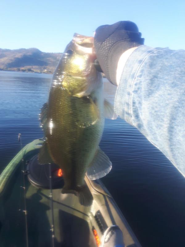 Early morning largie...