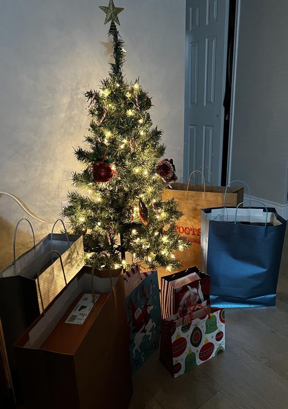 Photo - commentaire 1.