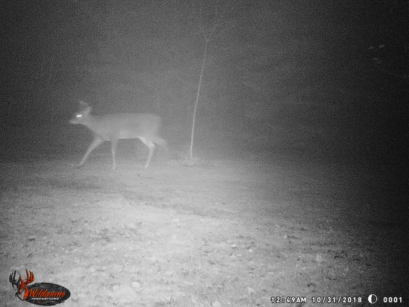 Camera about 20 feet from subject