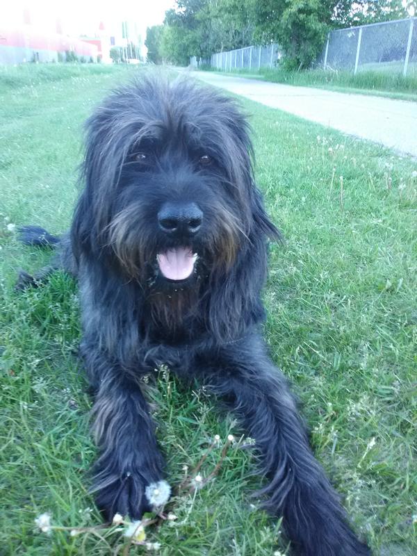 Photo - commentaire 1.