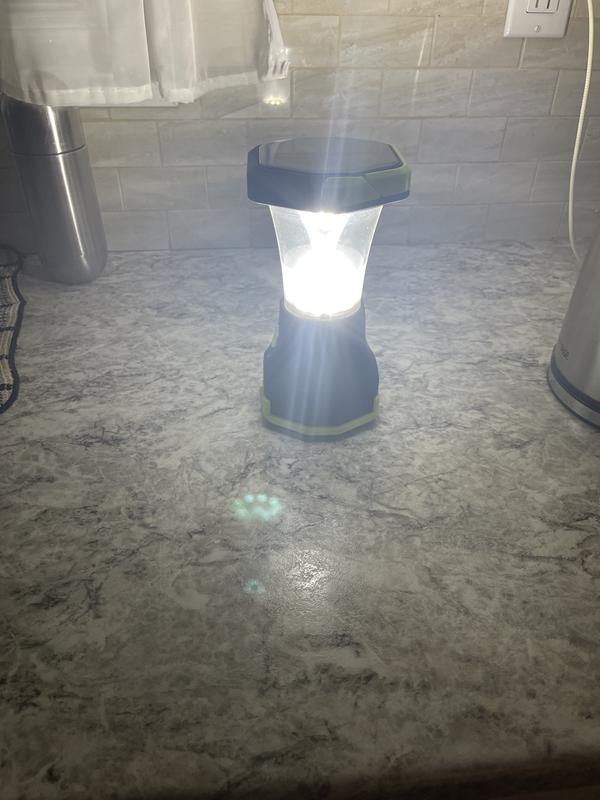 Photo - commentaire 1.