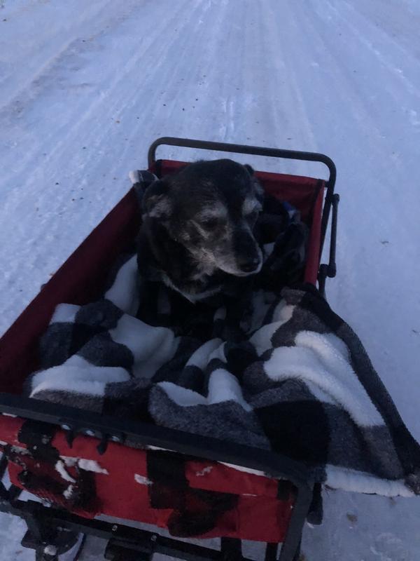 Photo - commentaire 2.