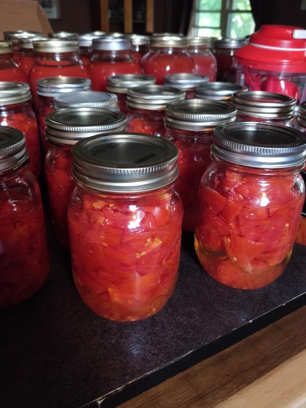 Tomato sauce in jars