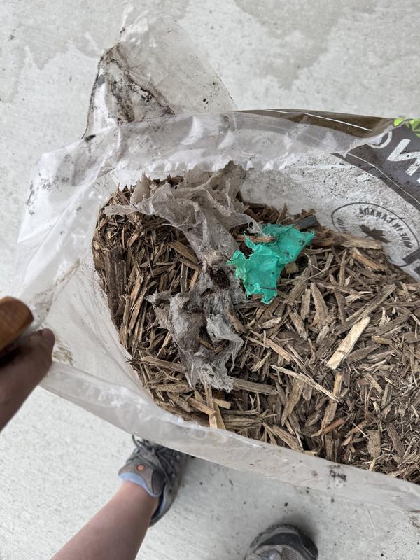 Photo - commentaire 5.