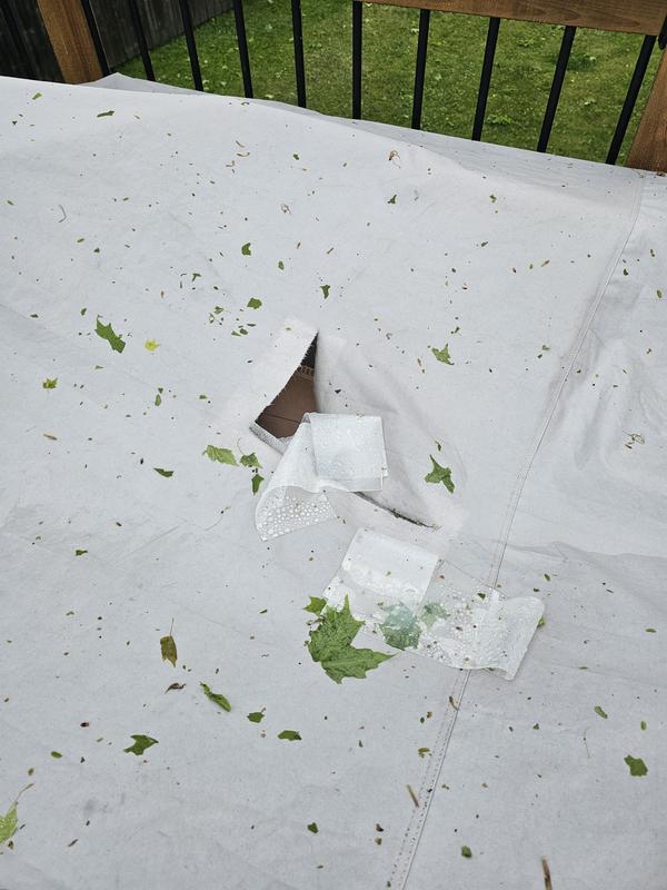 Review photo 1.