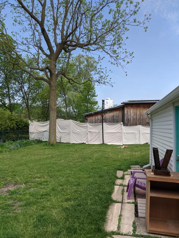 Cheap and easy fence