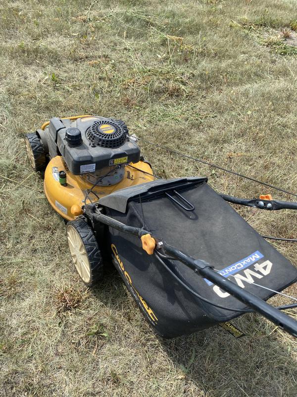 Photo - commentaire 4.