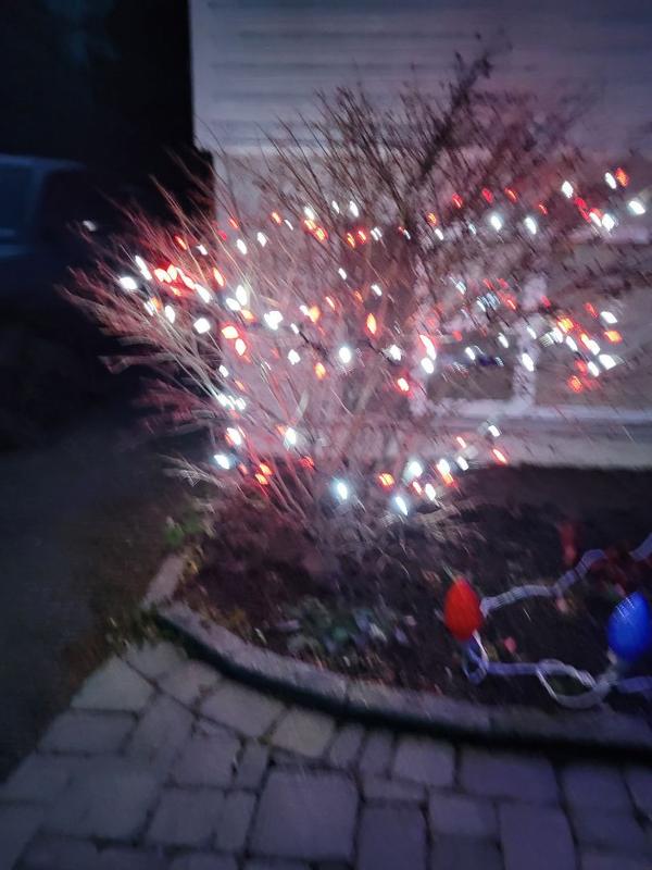 Photo - commentaire 1.