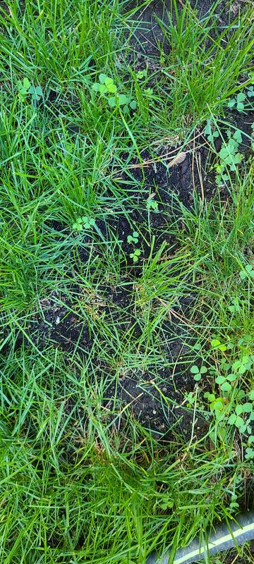 Photo - commentaire&nbsp;7.