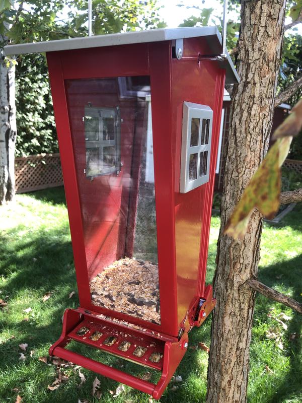 Photo - commentaire 1.