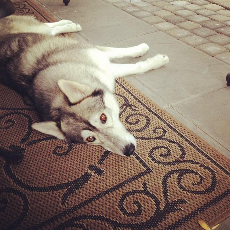 Photo - commentaire&nbsp;2.