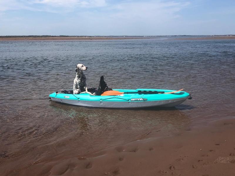 Photo - commentaire&nbsp;6.