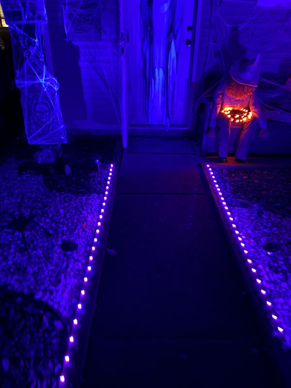 Photo - commentaire 1