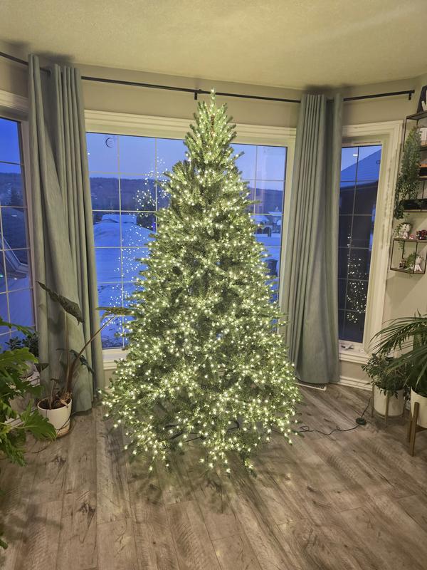 Photo - commentaire 5.