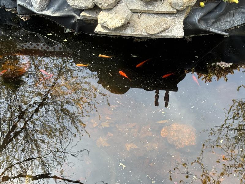 Happy fishies.